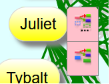 Romeo and Juliet popup